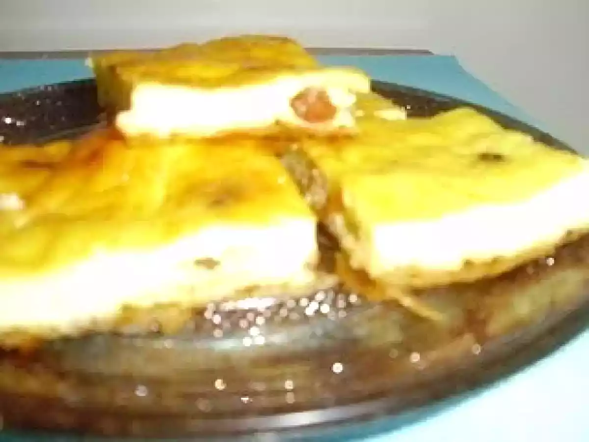 PLACINTA CU IAURT - poza 2