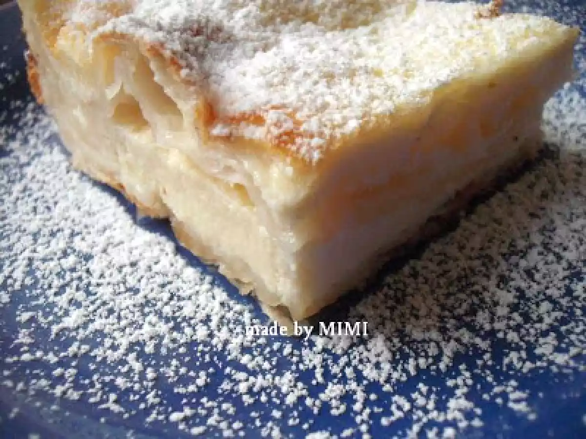 PLACINTA CU IAURT - poza 2