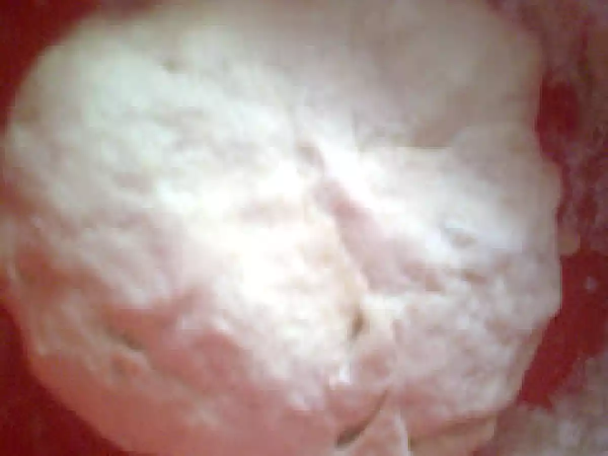 Placinta cu mere - poza 7