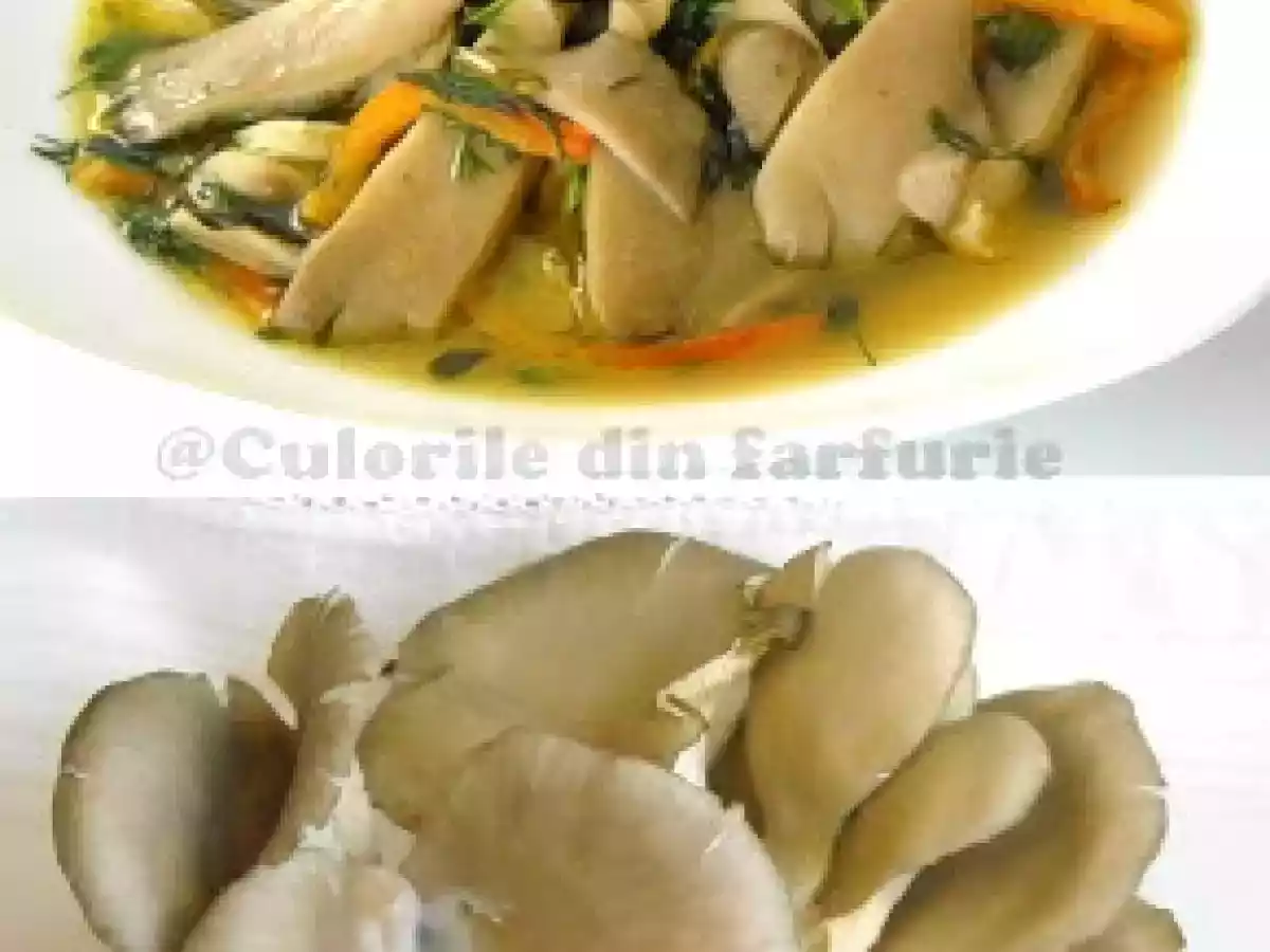 Pleurotus cu sos de vin alb - poza 2