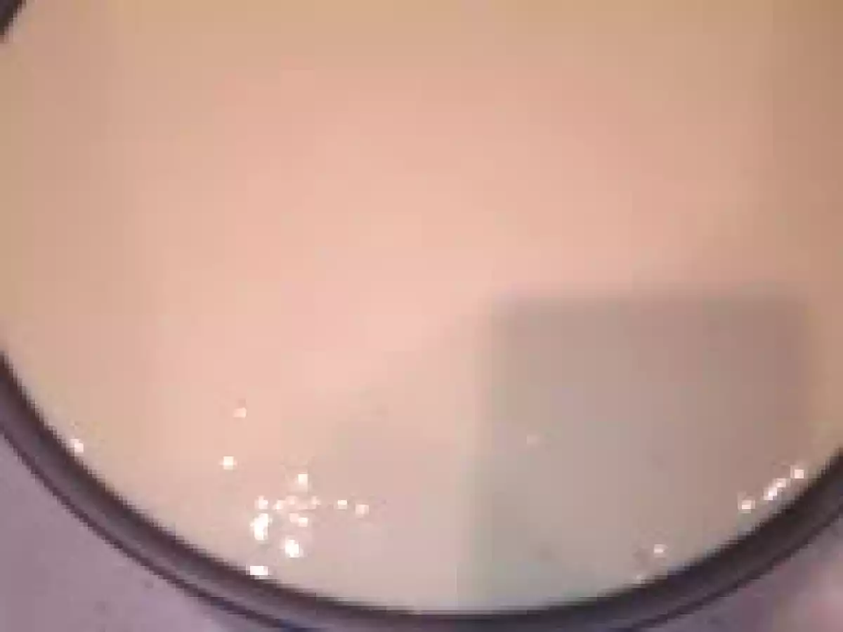 Prajitura cu branza & struguri - poza 4