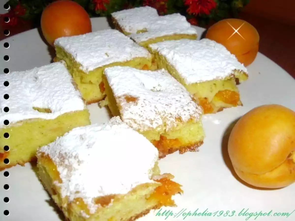 Prajitura cu caise - poza 2