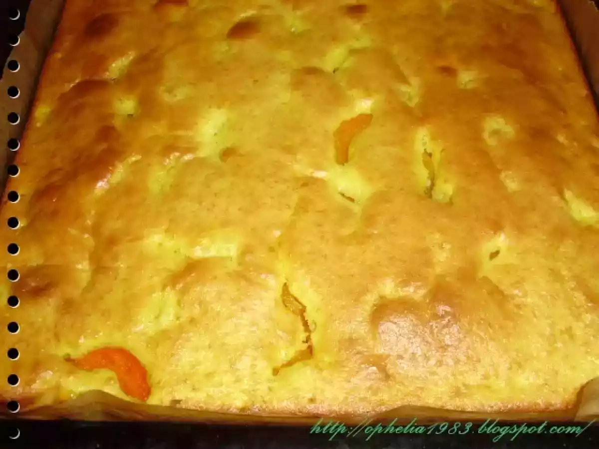 Prajitura cu caise - poza 3