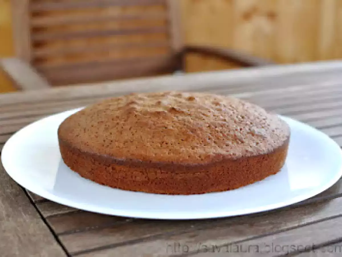 Prajitura cu ciocolata -Manuela de Marisa - poza 3