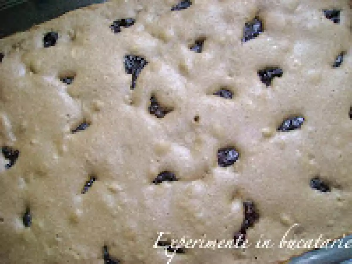 Prajitura cu ciocolata si prune uscate - poza 16