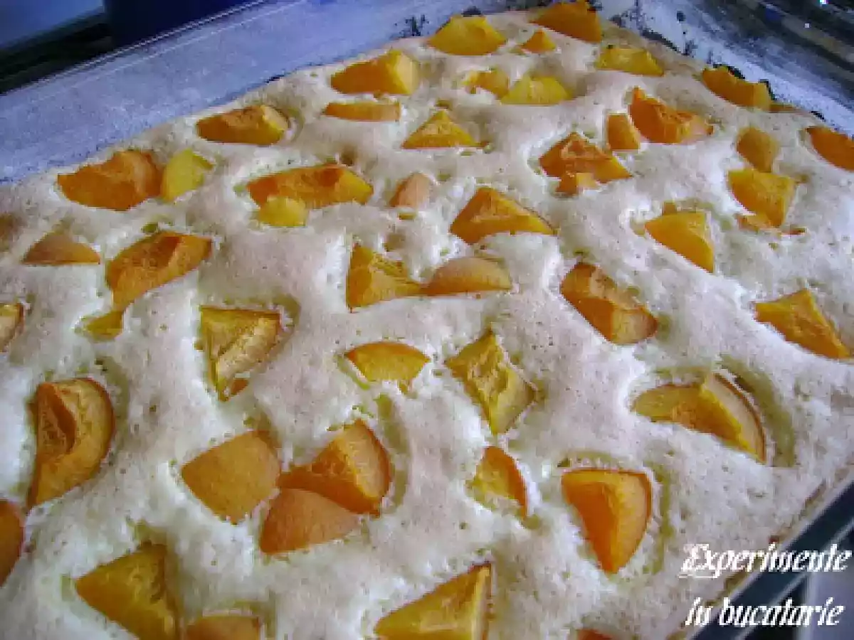 Prajitura cu fructe - poza 9