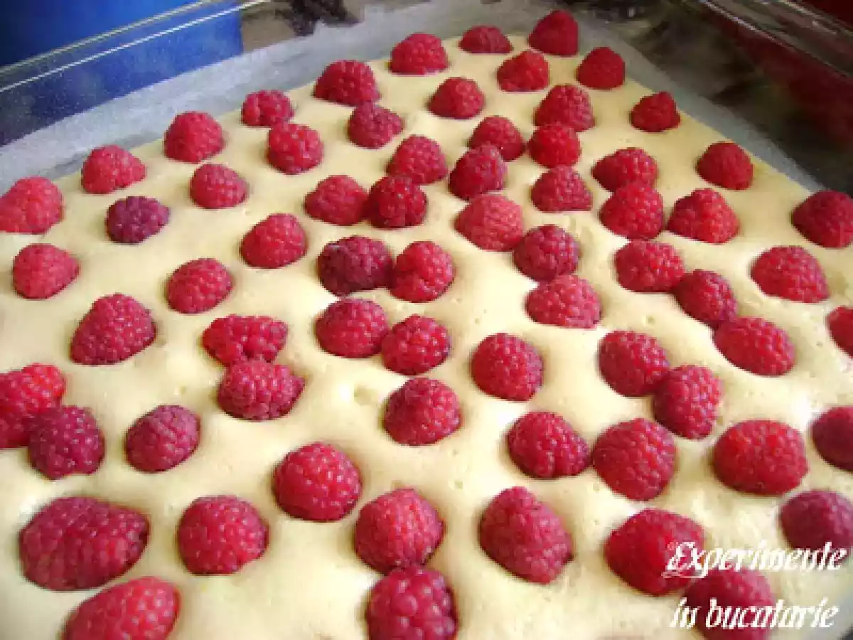 Prajitura cu fructe - poza 11