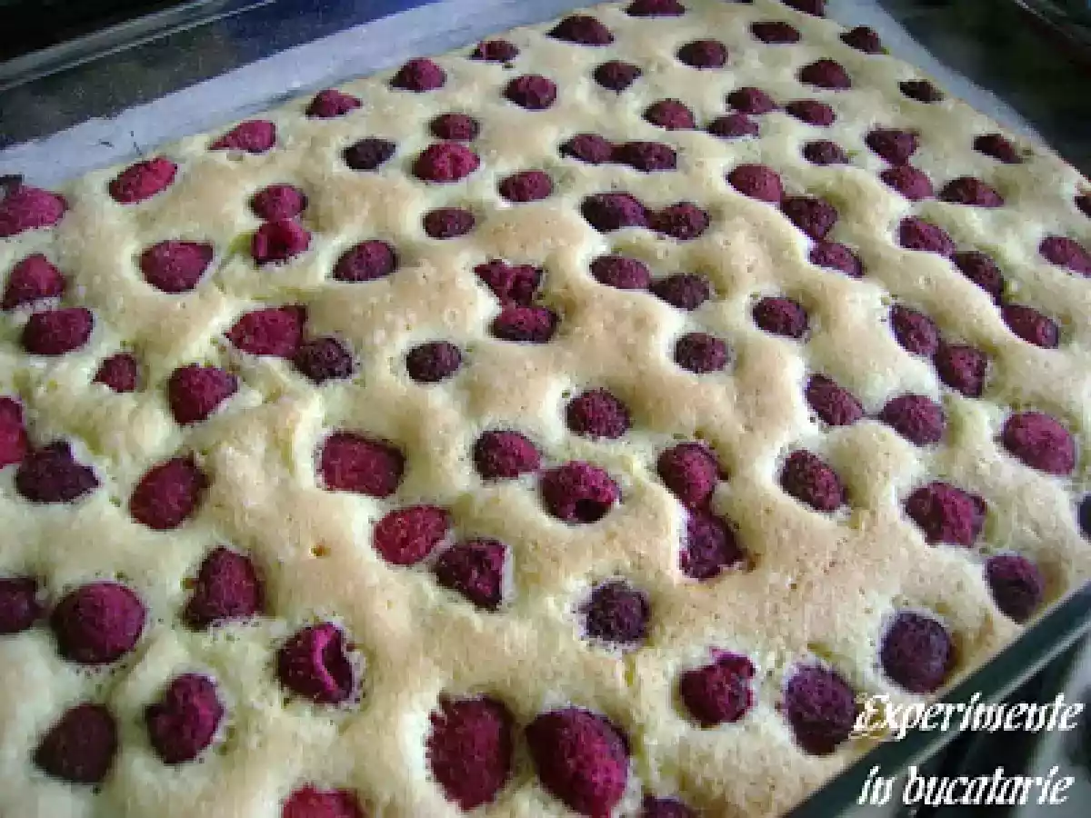 Prajitura cu fructe - poza 12