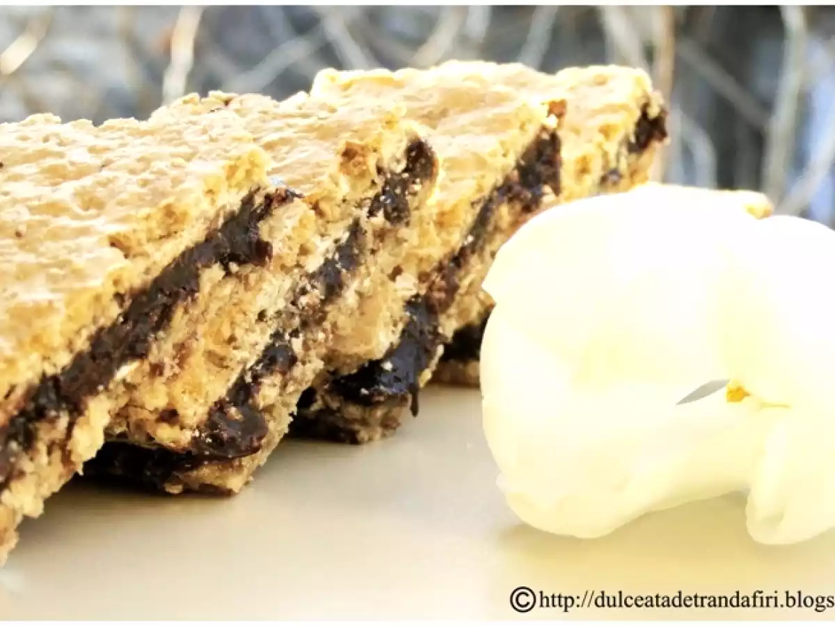 Prajitura cu fulgi de ovaz si ciocolata