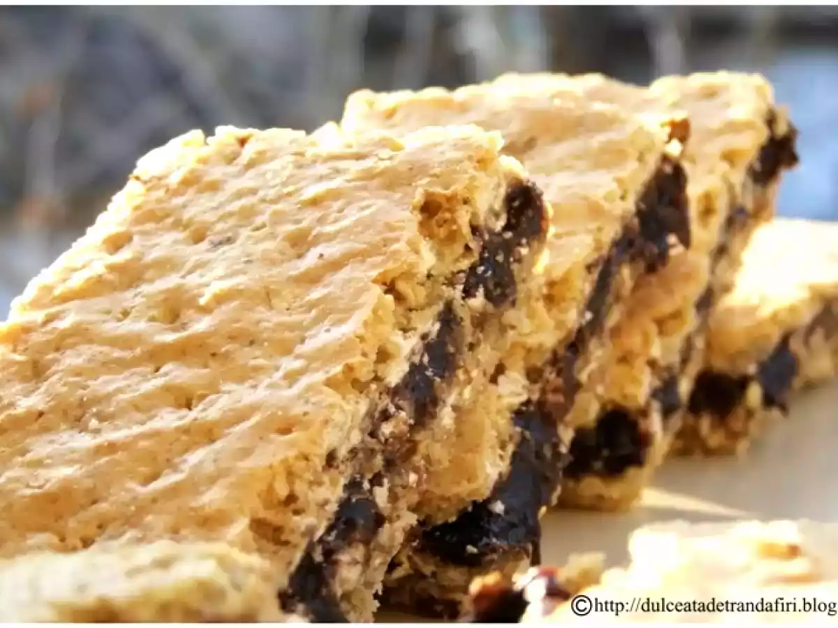 Prajitura cu fulgi de ovaz si ciocolata - poza 3