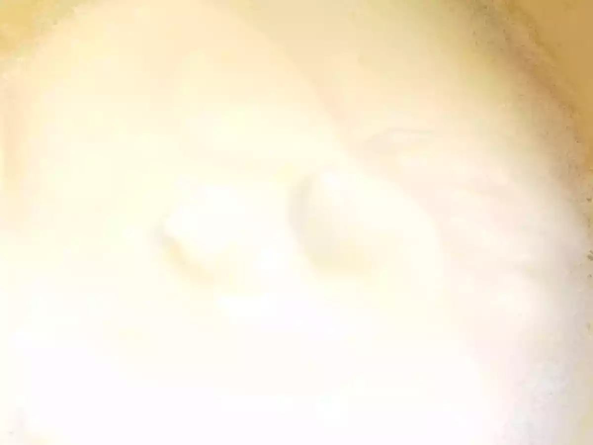 Prajitura cu gris- insiropata - poza 7