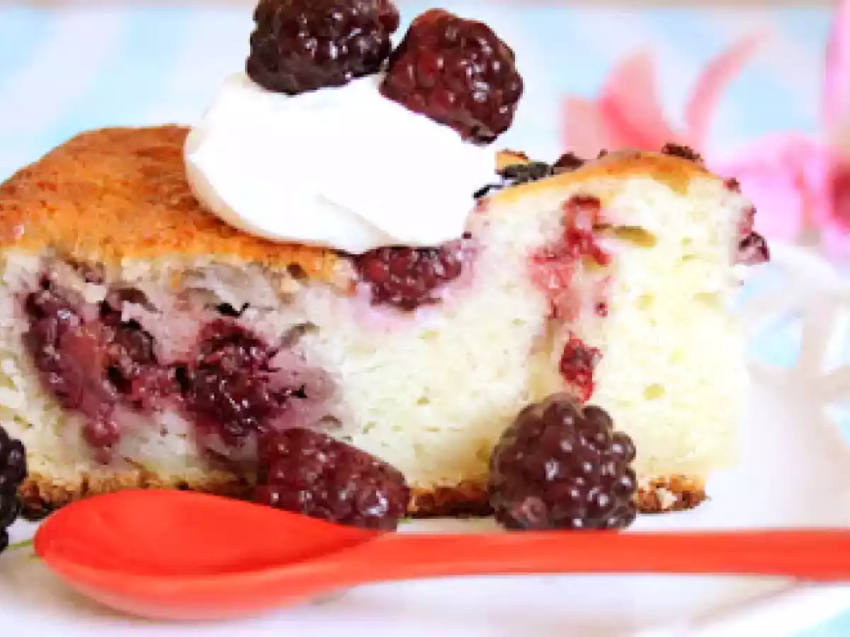 Prajitura cu Mure si Iaurt