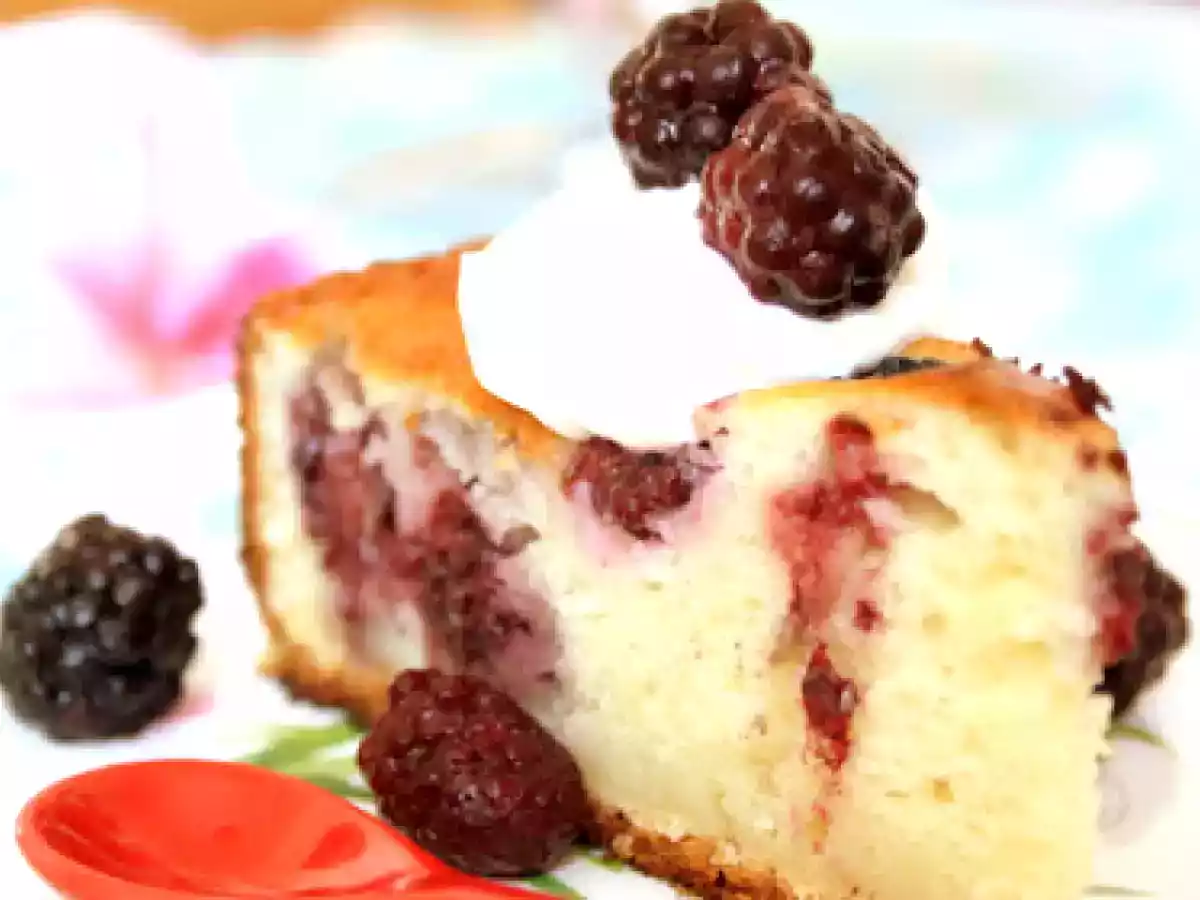 Prajitura cu Mure si Iaurt - poza 3