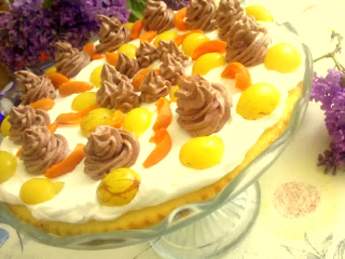 Prajitura cu struguri si caise