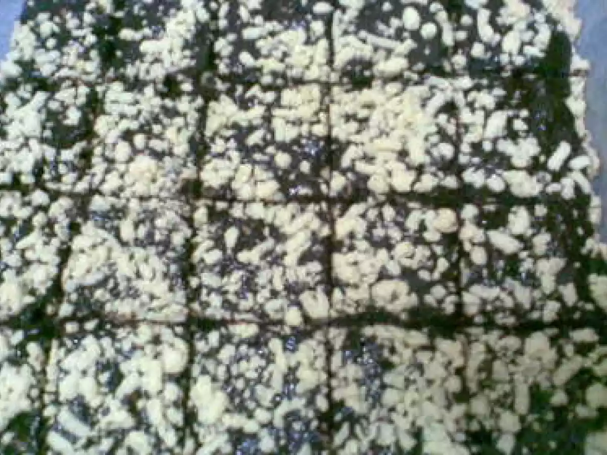 PRAJITURA KRISTA - poza 3