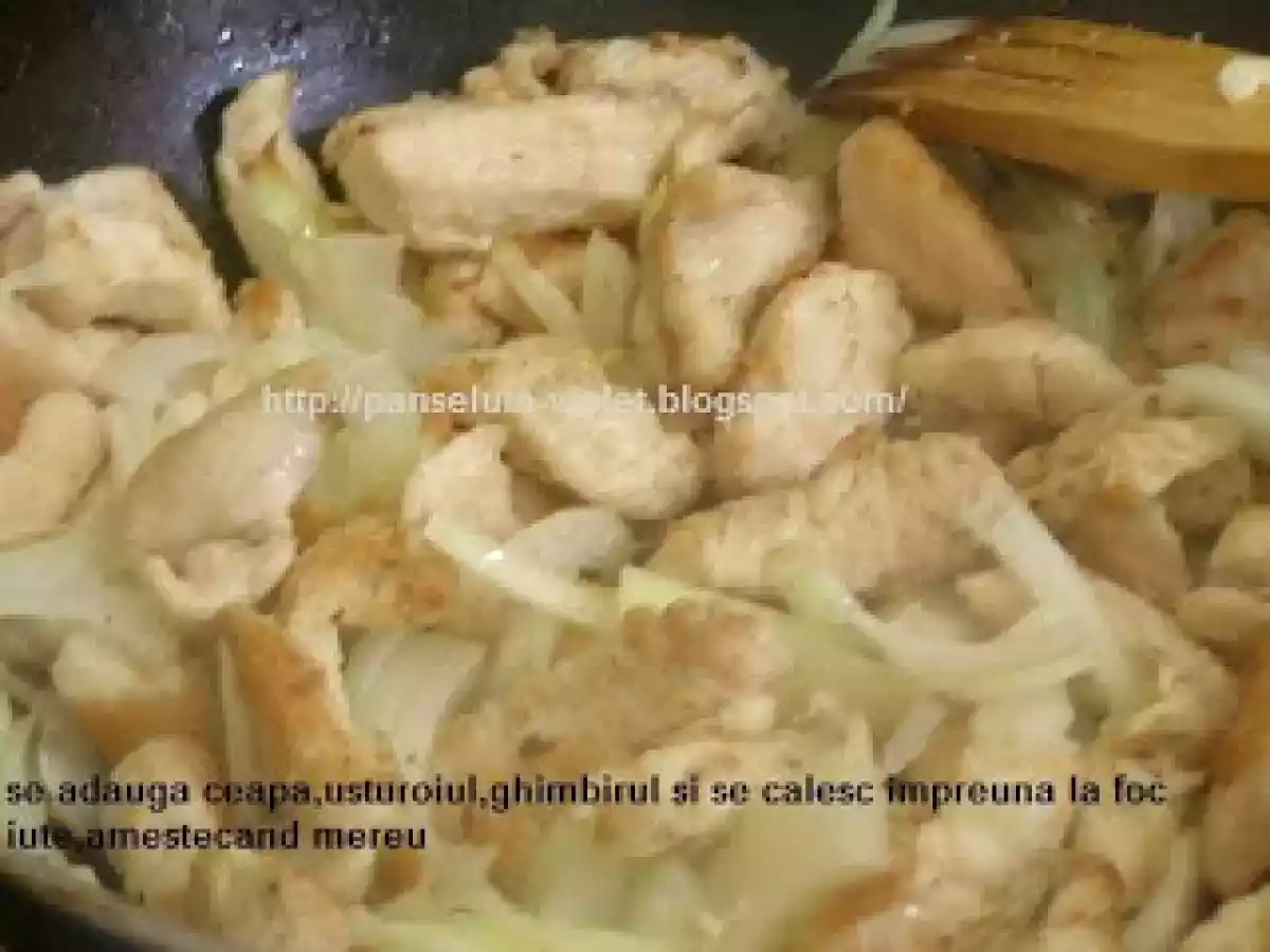 Pui cu pasta rosie de curry - poza 5