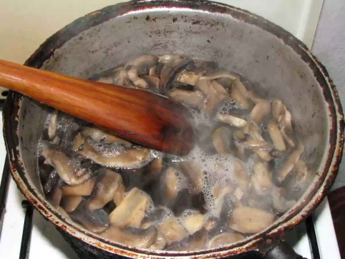 Pulpa de miel cu ciuperci - poza 7