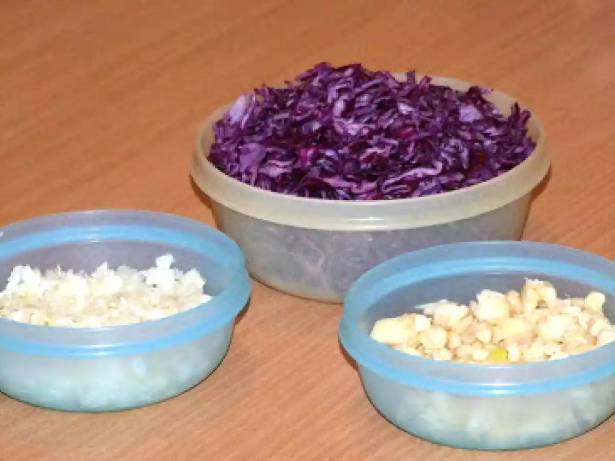 Pulpe de gasca pe varza rosie - poza 2