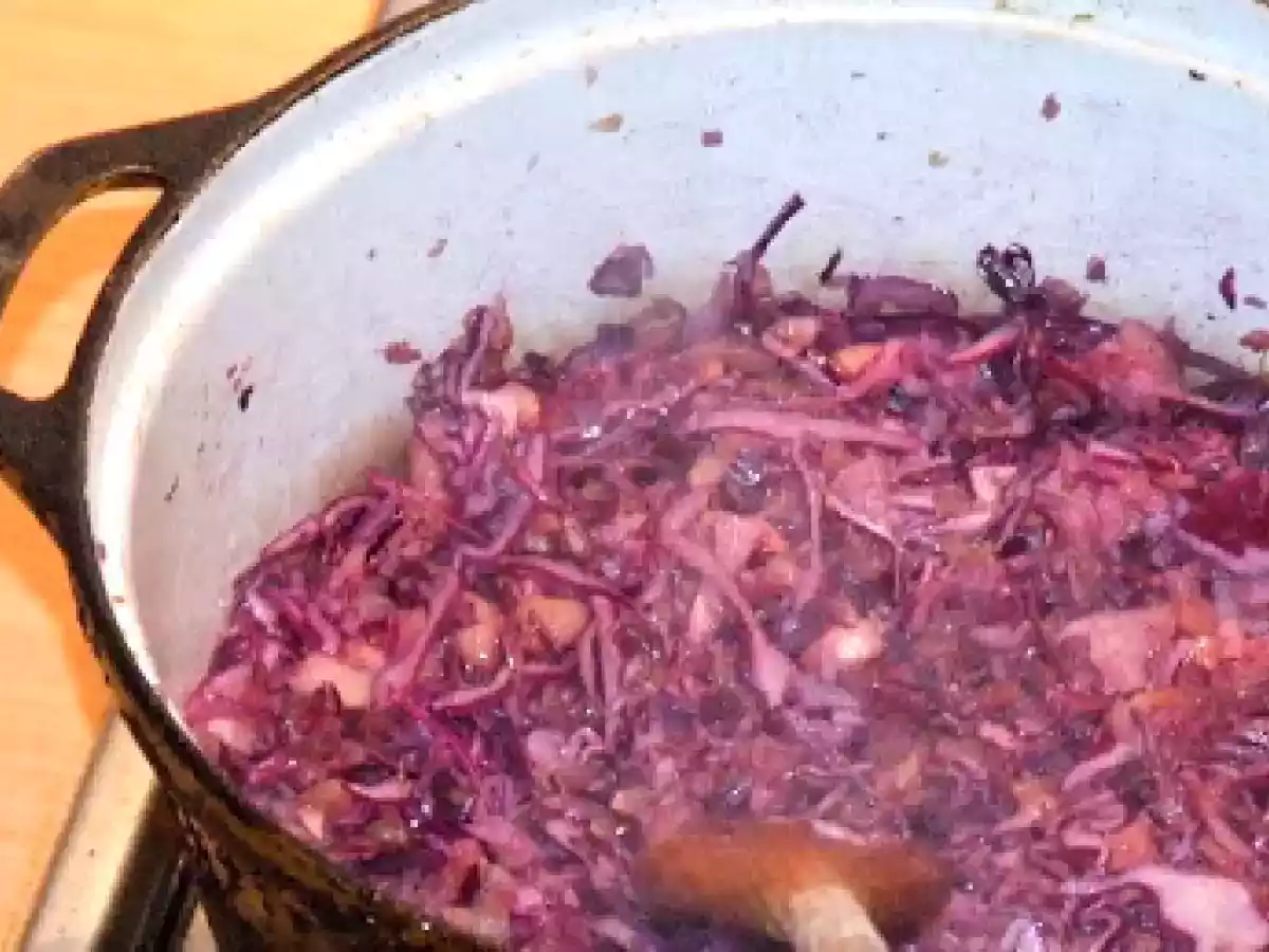 Pulpe de gasca pe varza rosie - poza 7