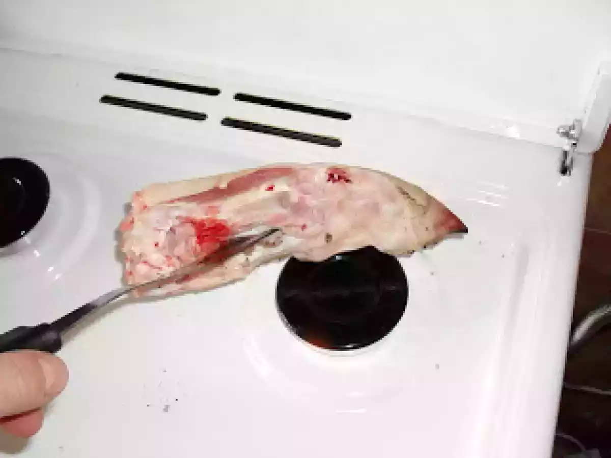 RACITURI (PIFTIE) - poza 4