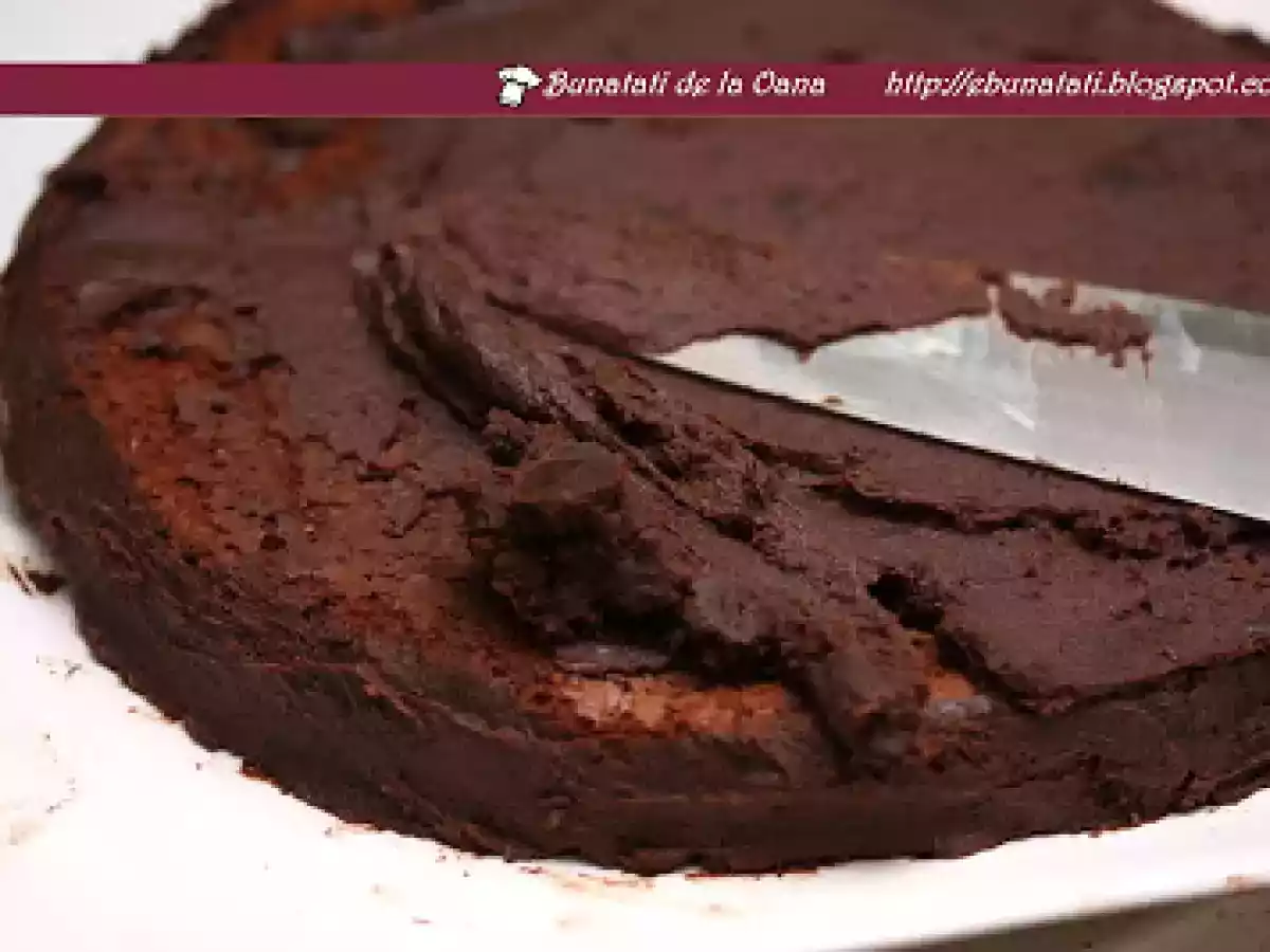 Reine de Saba - poza 2