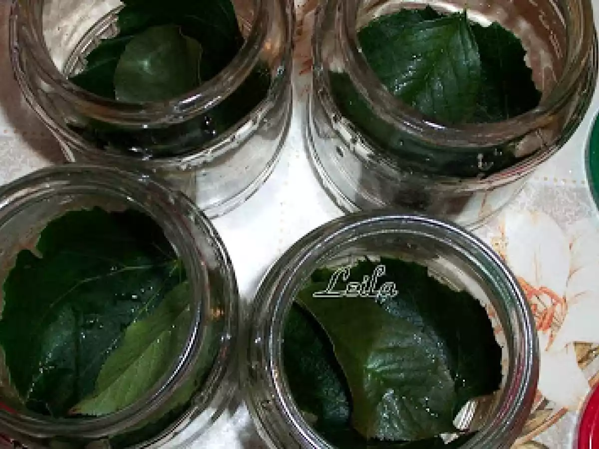 Rosii Murate - poza 3