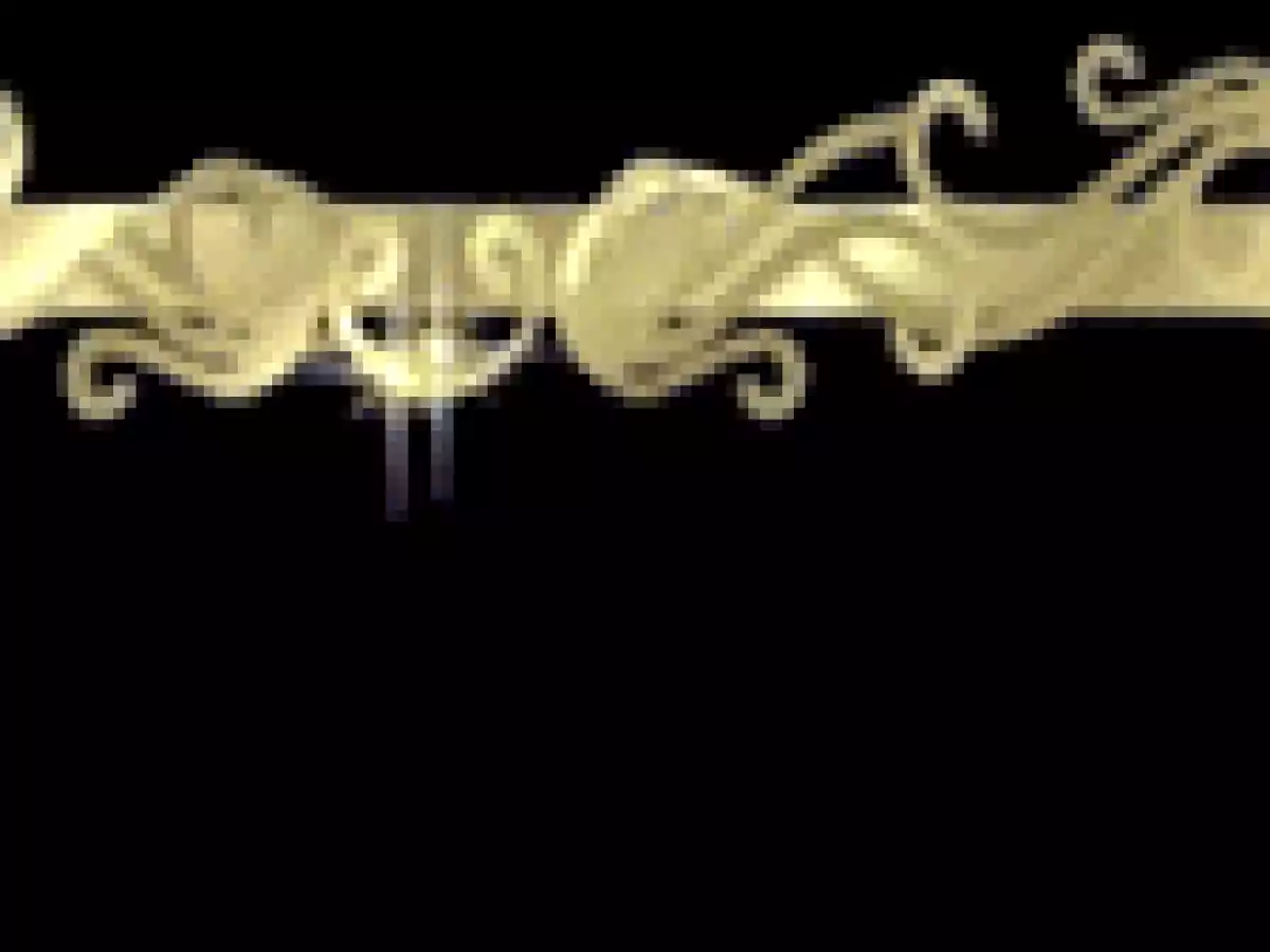 RÖSTI/CHIFTELE DIN CARTOFI SI DOVLECEI - poza 2