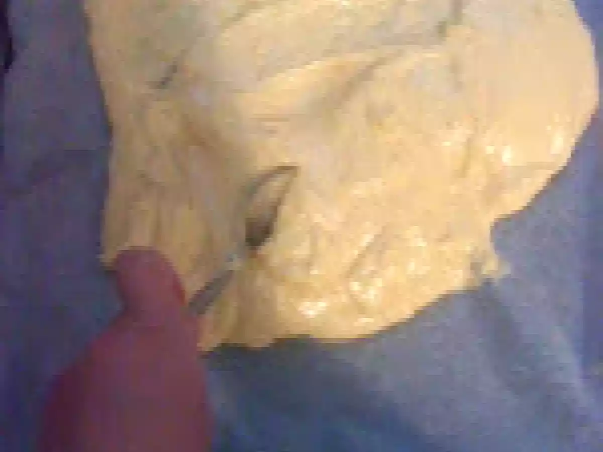 RULADA CU BRANZA - poza 3