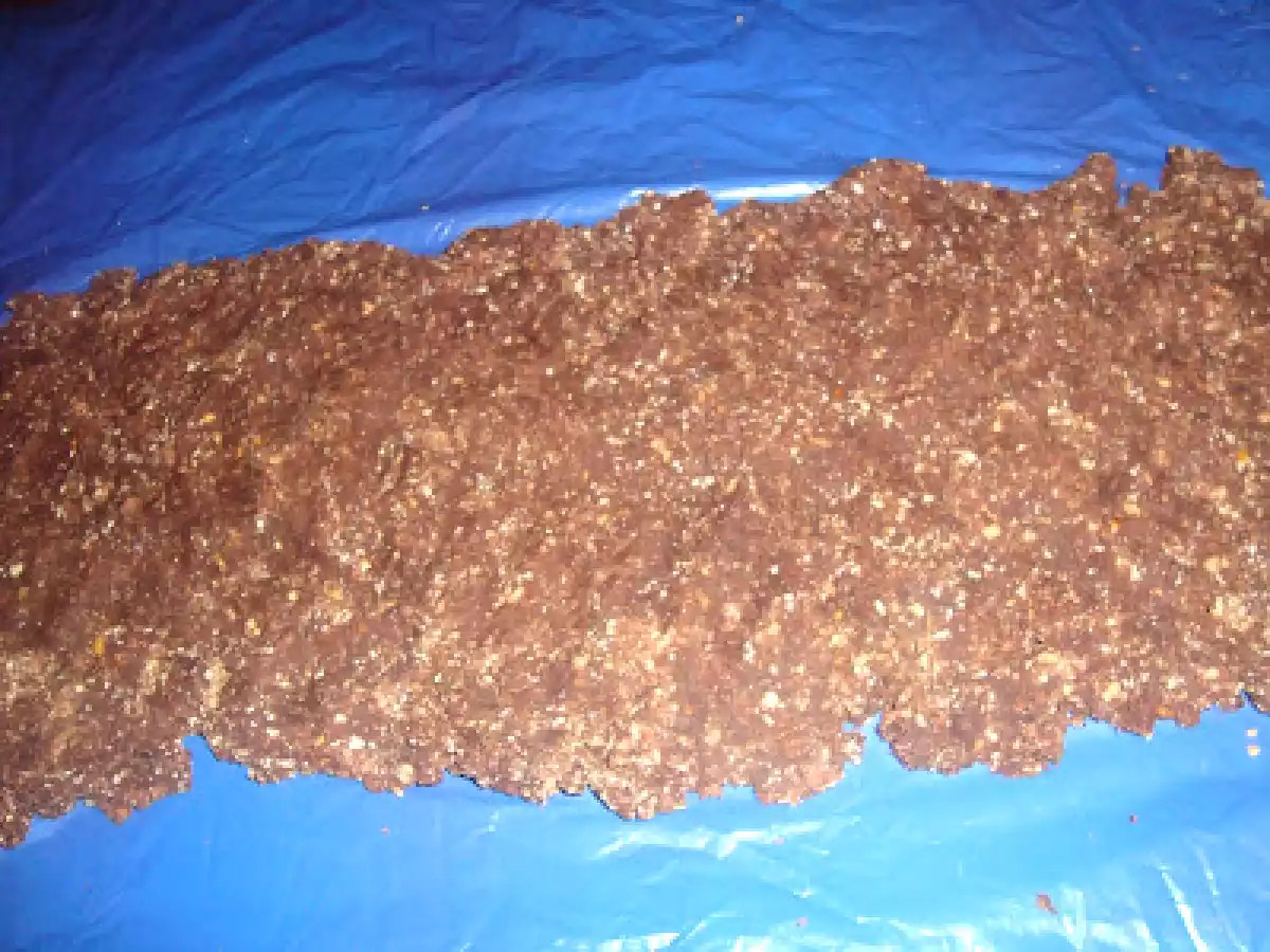 Rulada de biscuiti - poza 5