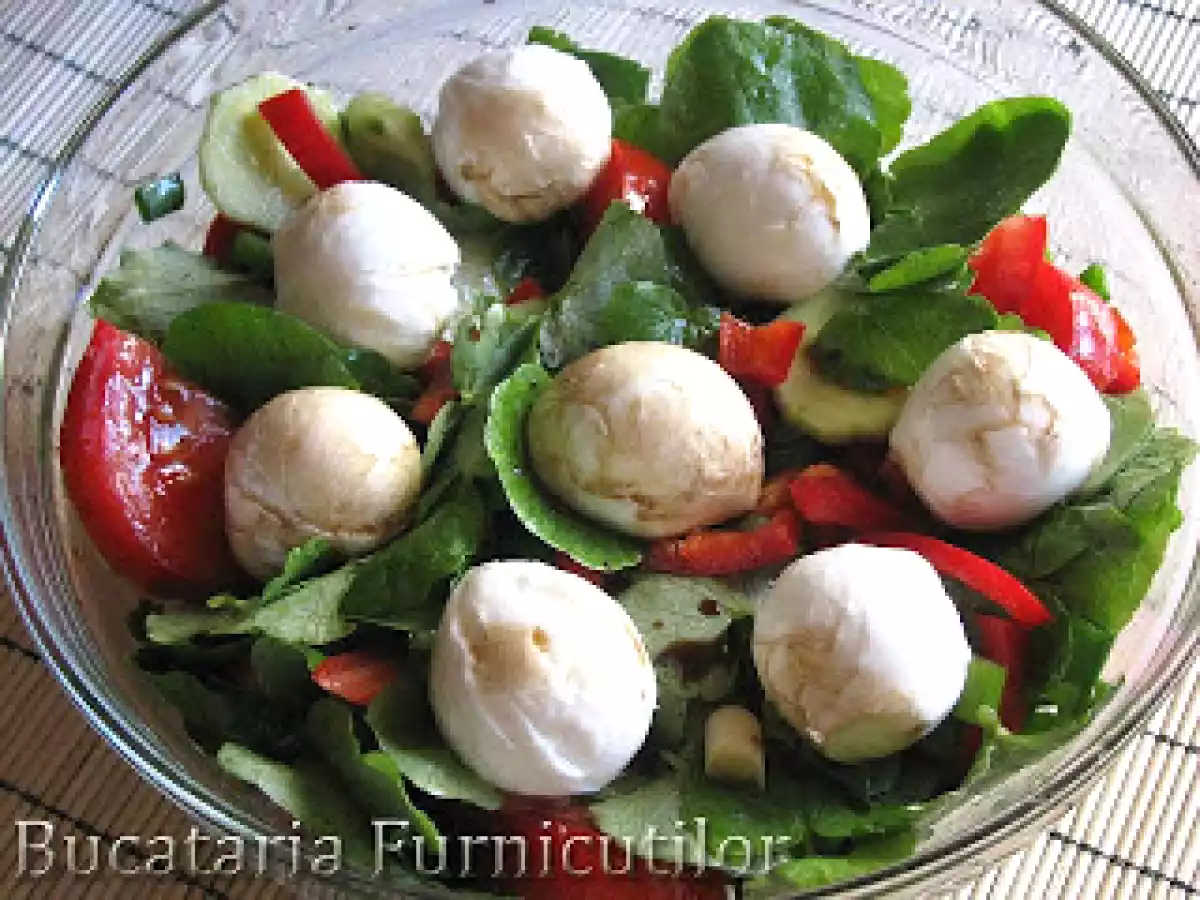 Salata cu Untisor