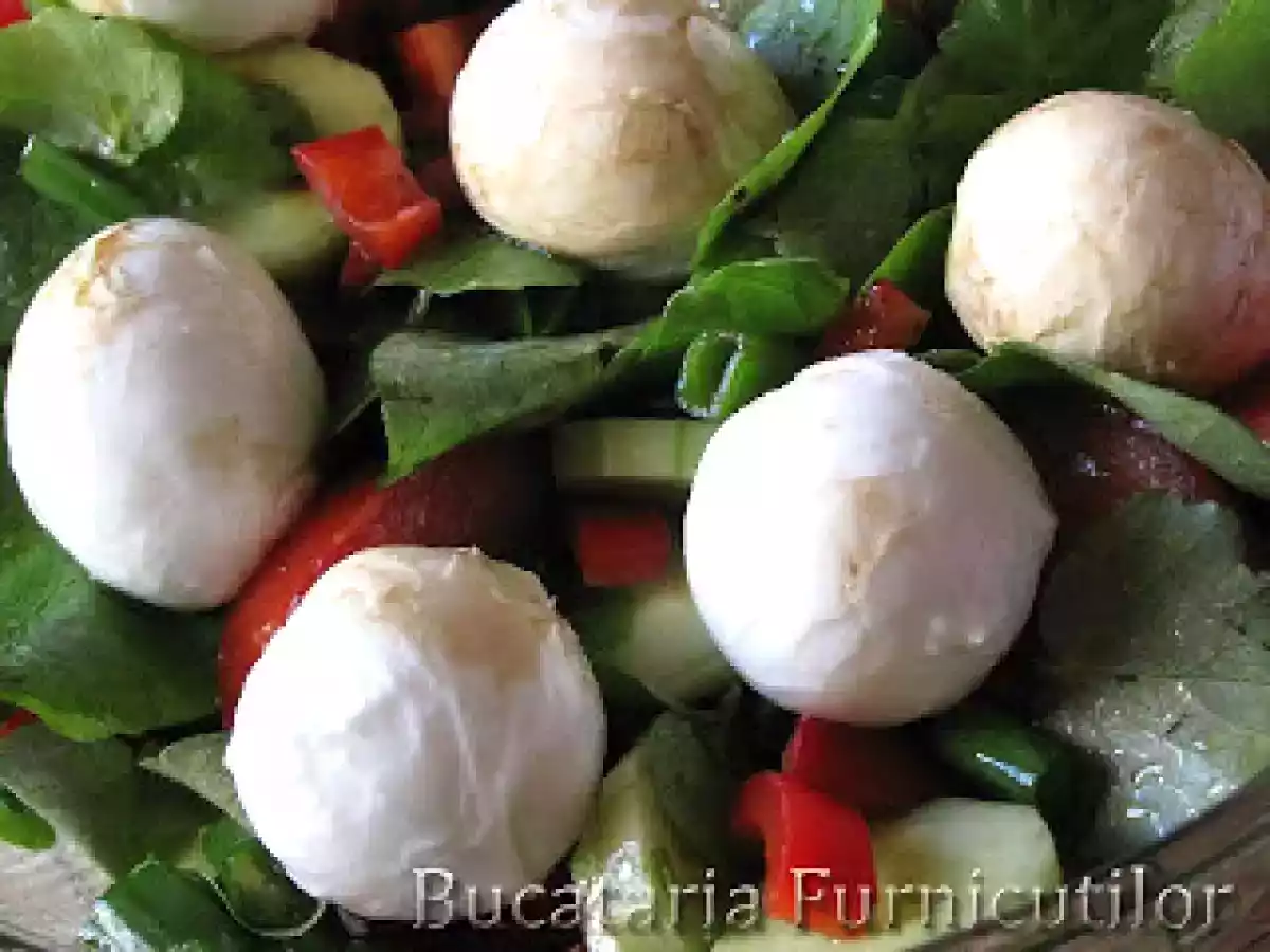 Salata cu Untisor - poza 2