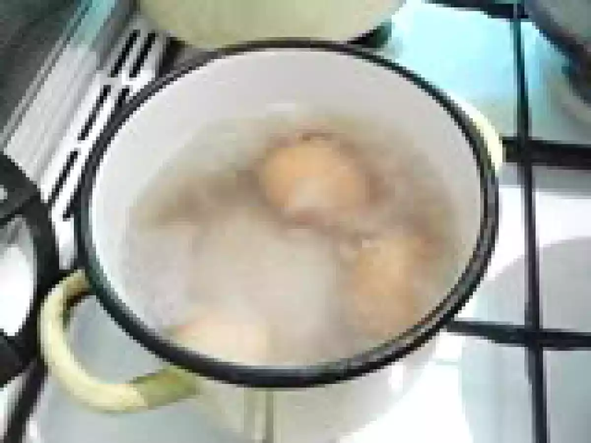 Salata de cartofi cu piept de pui in crusta de cocos - poza 3