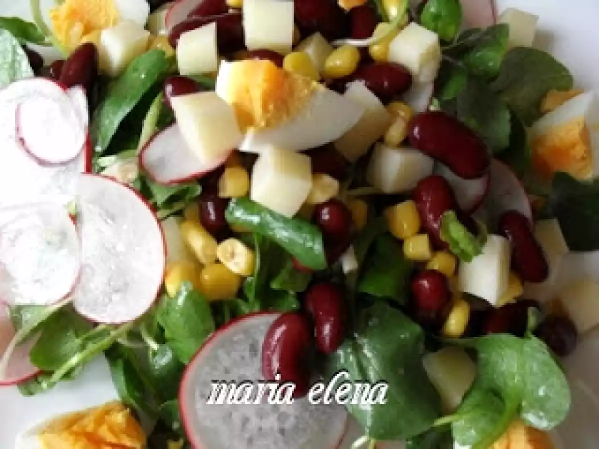Salata de padure (untisor) cu fasole, porumb, ou si ridiche