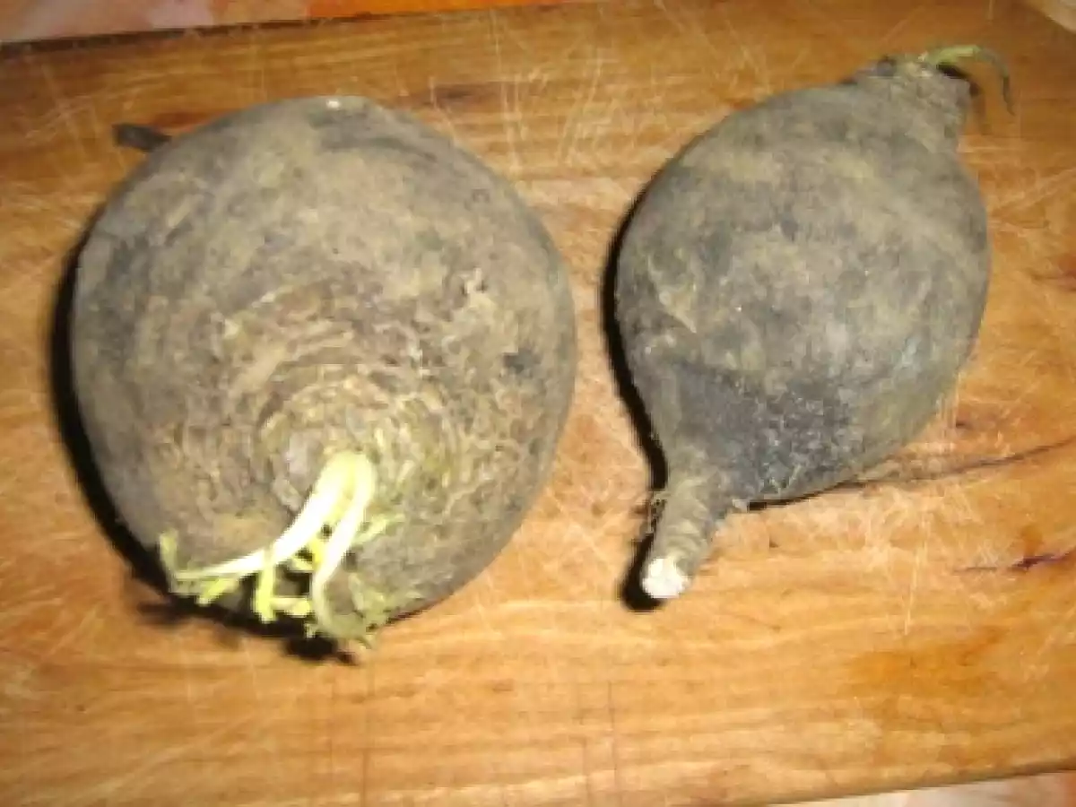 Salata de ridichi de negre - poza 2