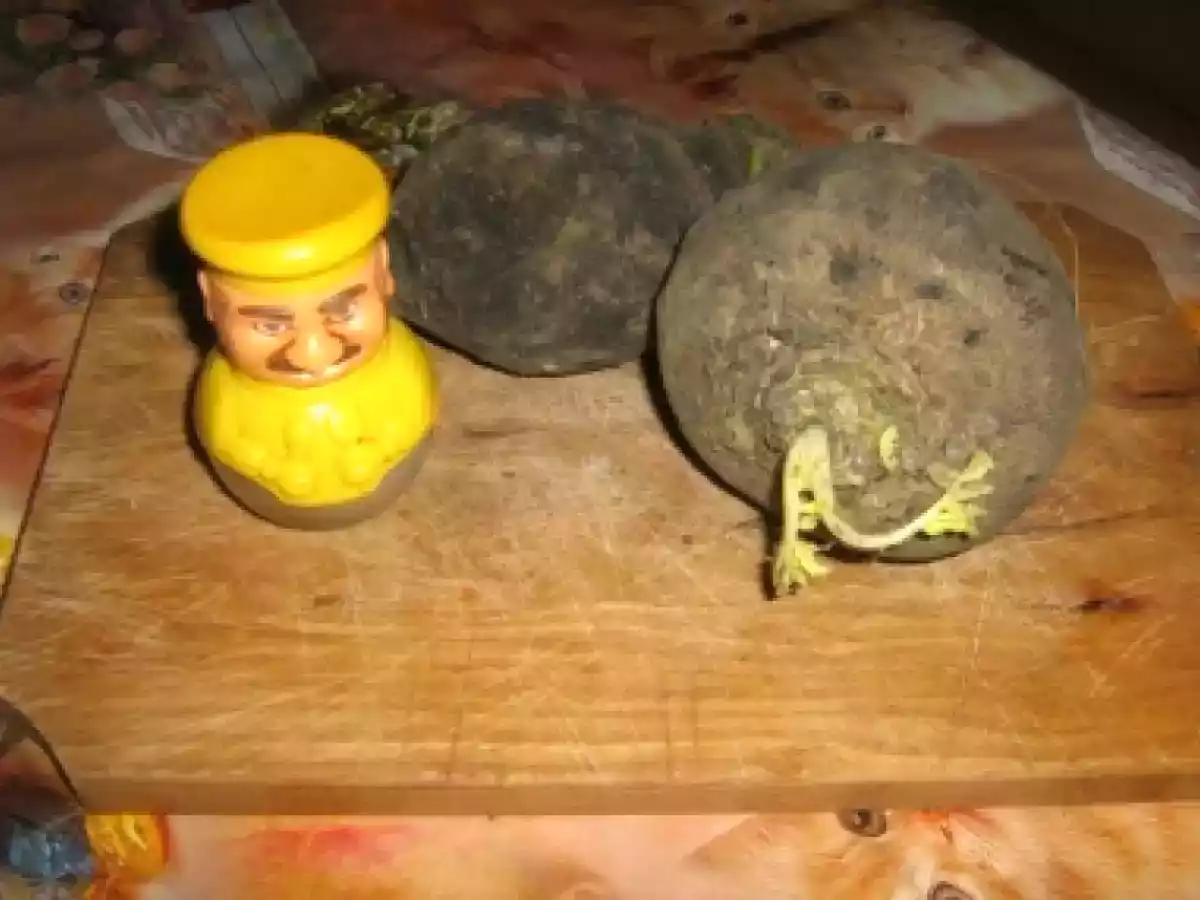 Salata de ridichi de negre - poza 4