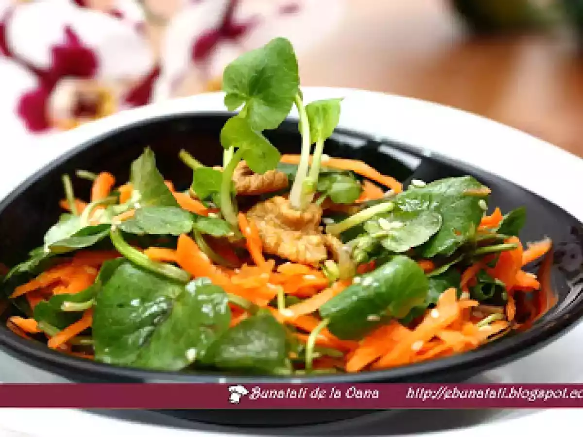 Salata de untisor / creson