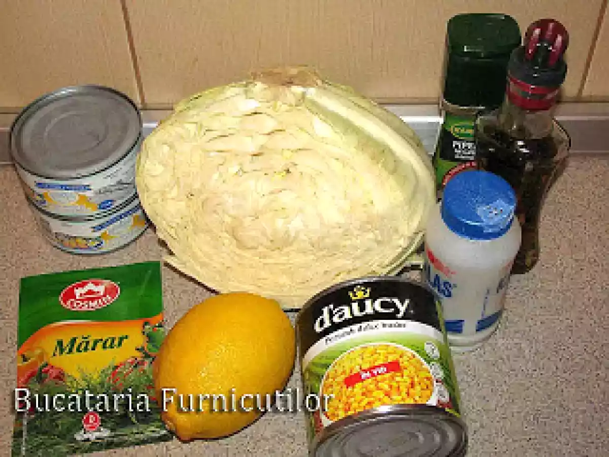 Salata de Varza cu Ton - poza 2