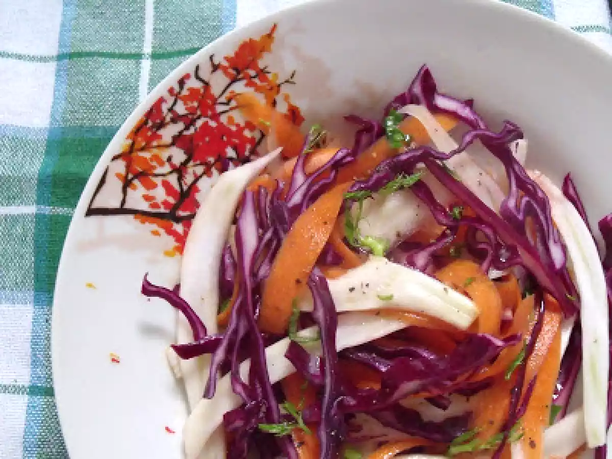 Salata de varza rosie si fenicul - poza 2