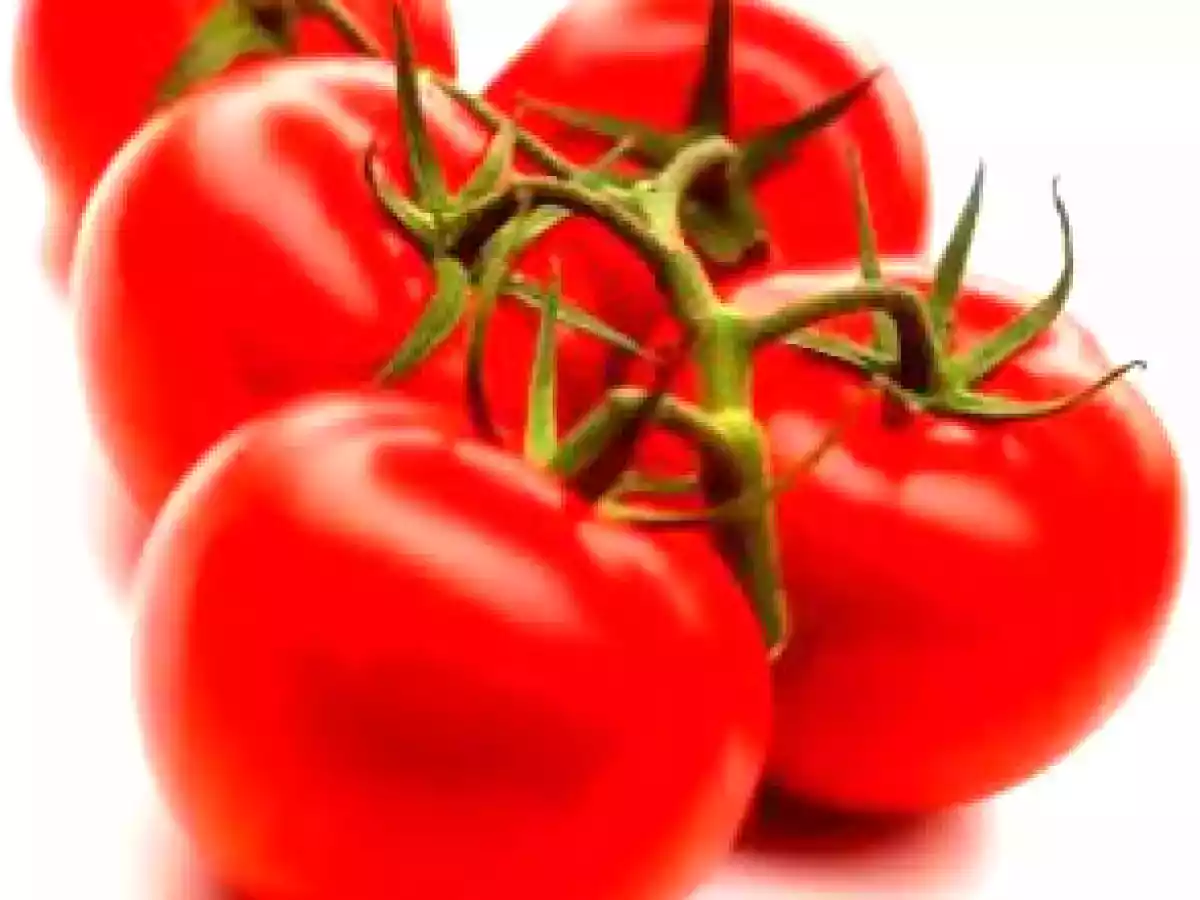 Salata de vinete in cosulete de rosii