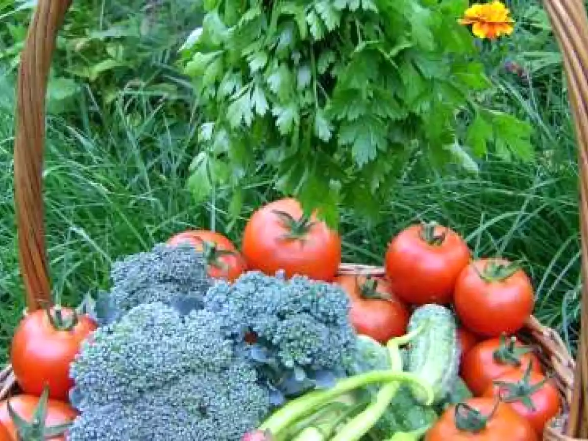 Salata picanta cu broccoli - poza 3