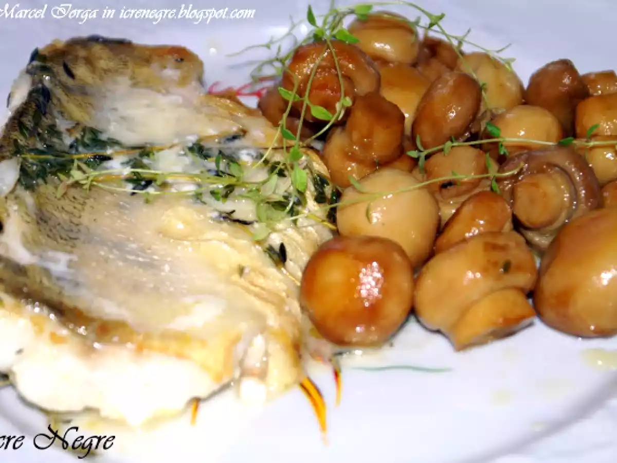 Salau de Dunare in sos de vin cu ciuperci