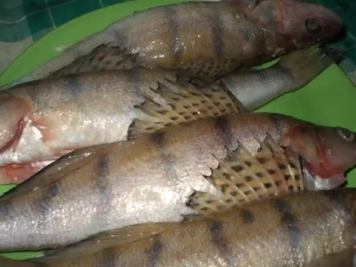 Salau la gratar cu cartofi prajiti - poza 2