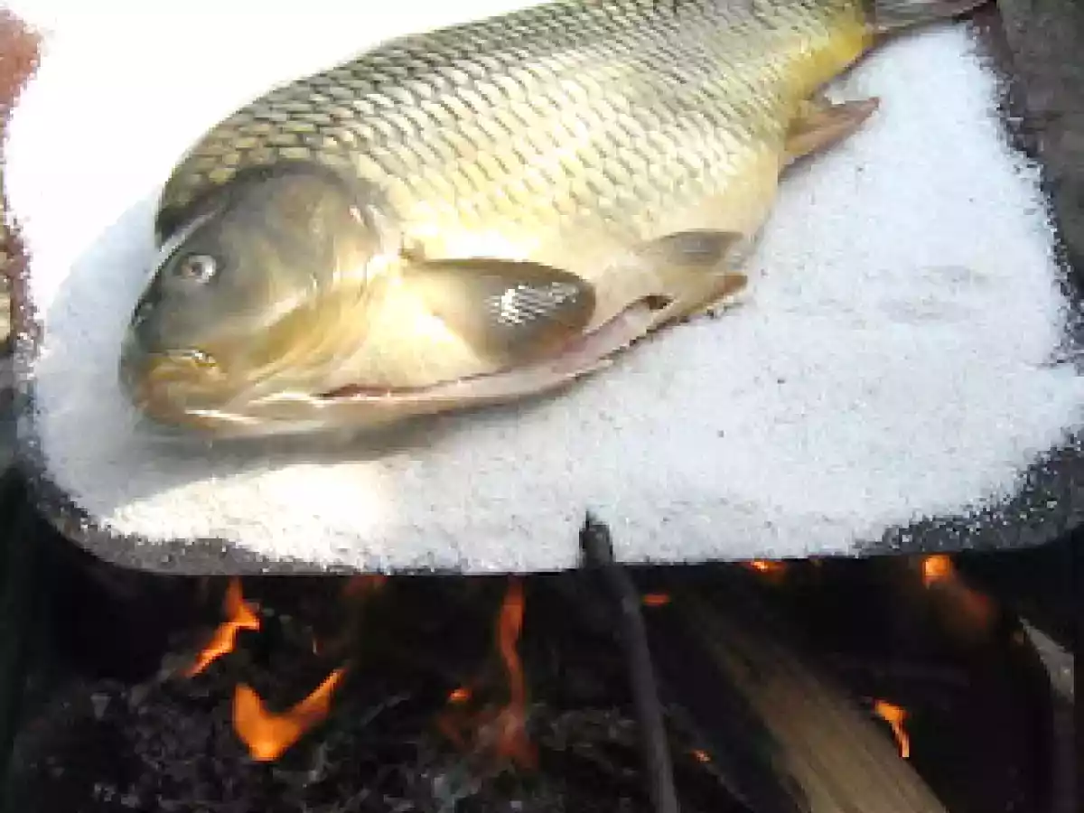 SARAMURA de CRAP - poza 3