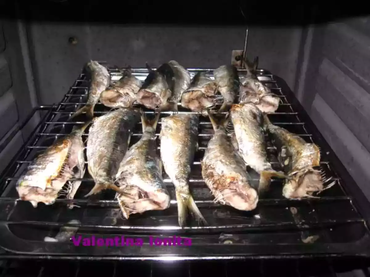 Sardina la grill (gratar) in saramura - poza 4