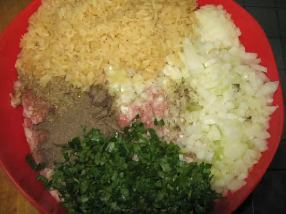 Sarmale in vas roman - poza 9