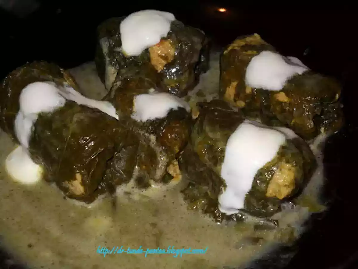 Sarmalute in foi de stevie - dietetic