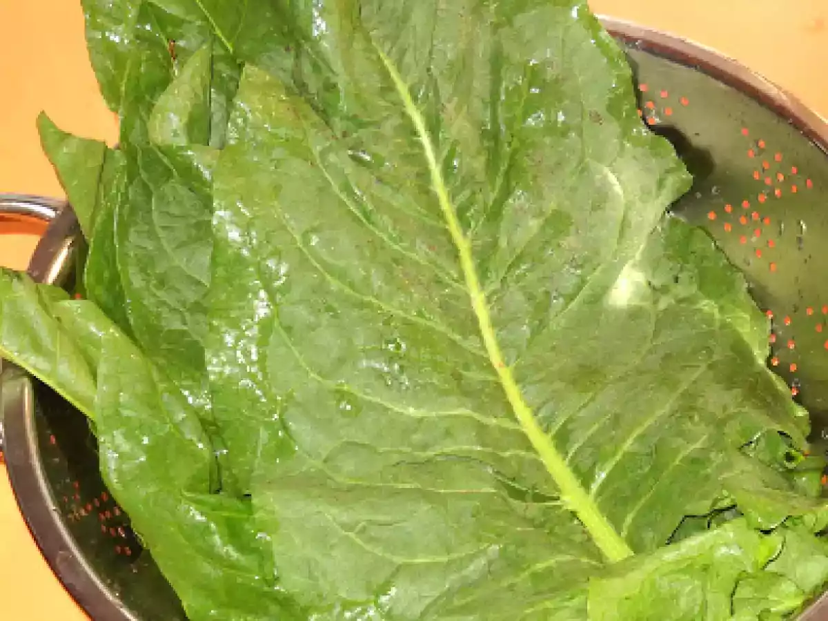 Sarmalute in foi de stevie - dietetic - poza 3