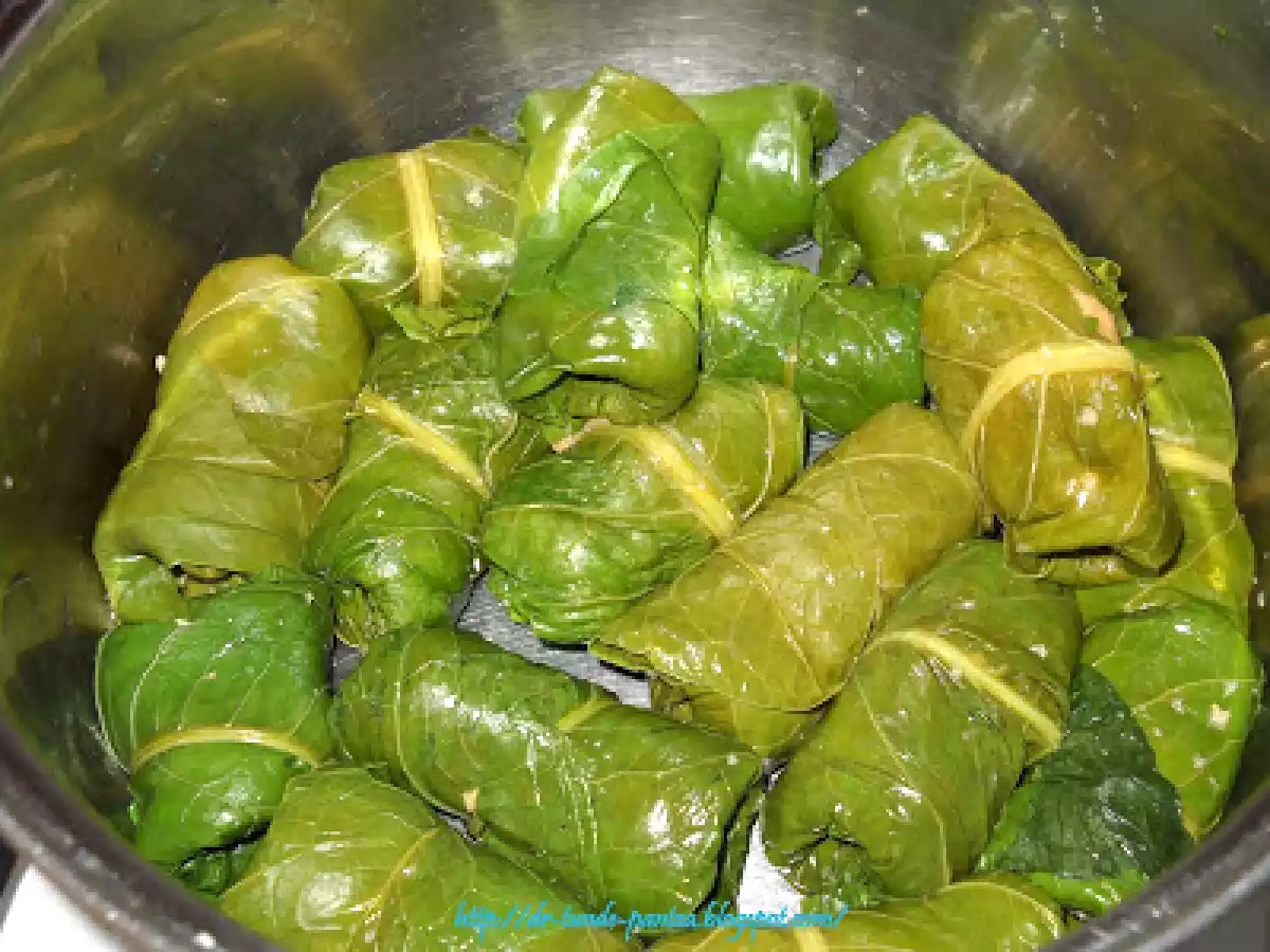 Sarmalute in foi de stevie - dietetic - poza 7