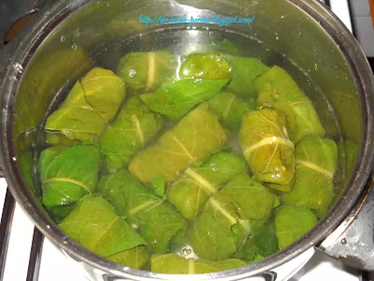 Sarmalute in foi de stevie - dietetic - poza 8