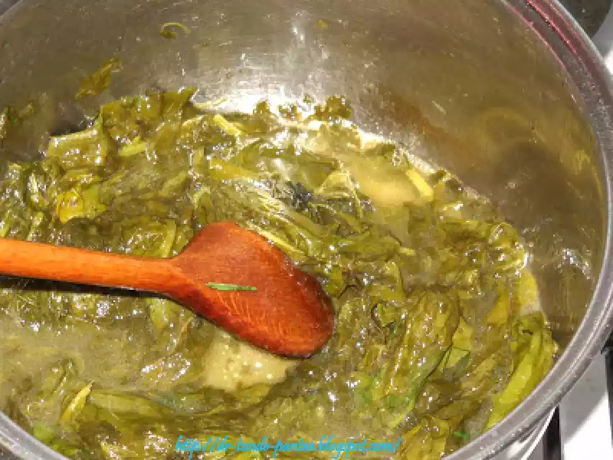 Sarmalute in foi de stevie - dietetic - poza 10